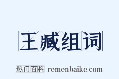 王臧组词是什么意思的图片